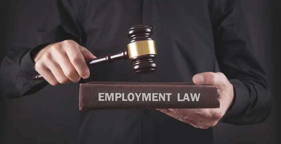 hire best sierra madre ca employment lawyer